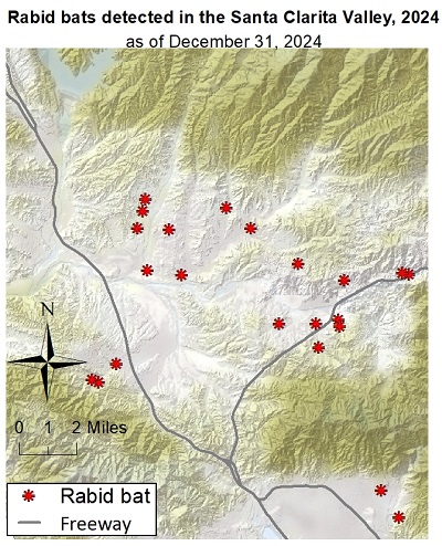 Map showing locations of rabid bats detected in the Santa Clarita Valley of Los Angeles County in 2024