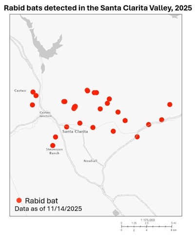 Map showing rabid bat detections in the Santa Clarita area of Los Angeles County since January 1, 2025