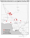 Link to 2026 rabid bat map for LA County