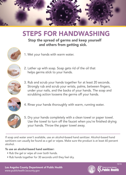 Handwashing steps