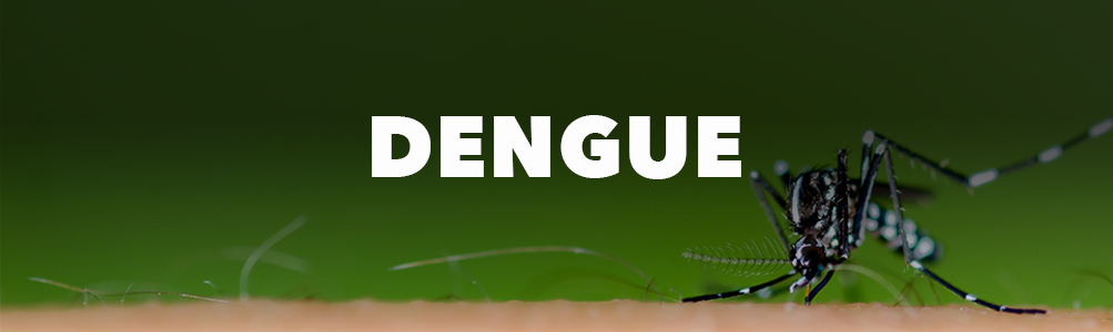 Vector Dengue Banner