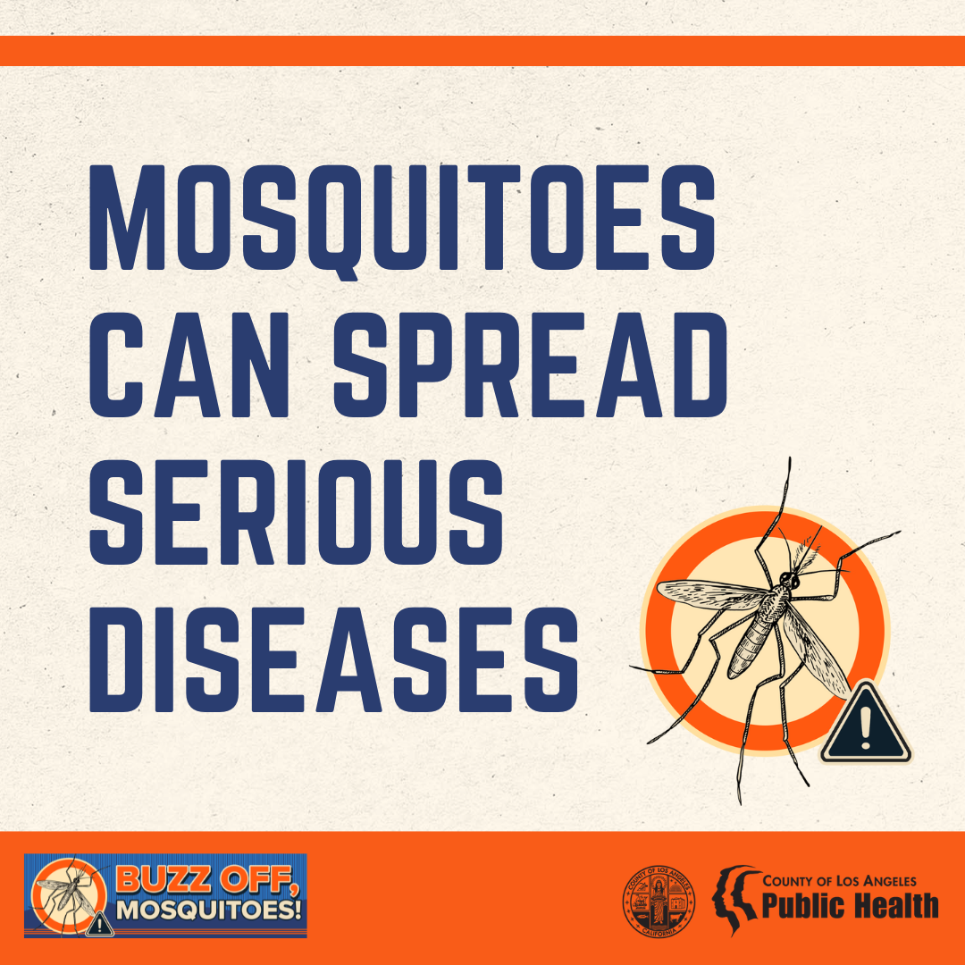 Mosquitoes Can Spread Serious Diseases