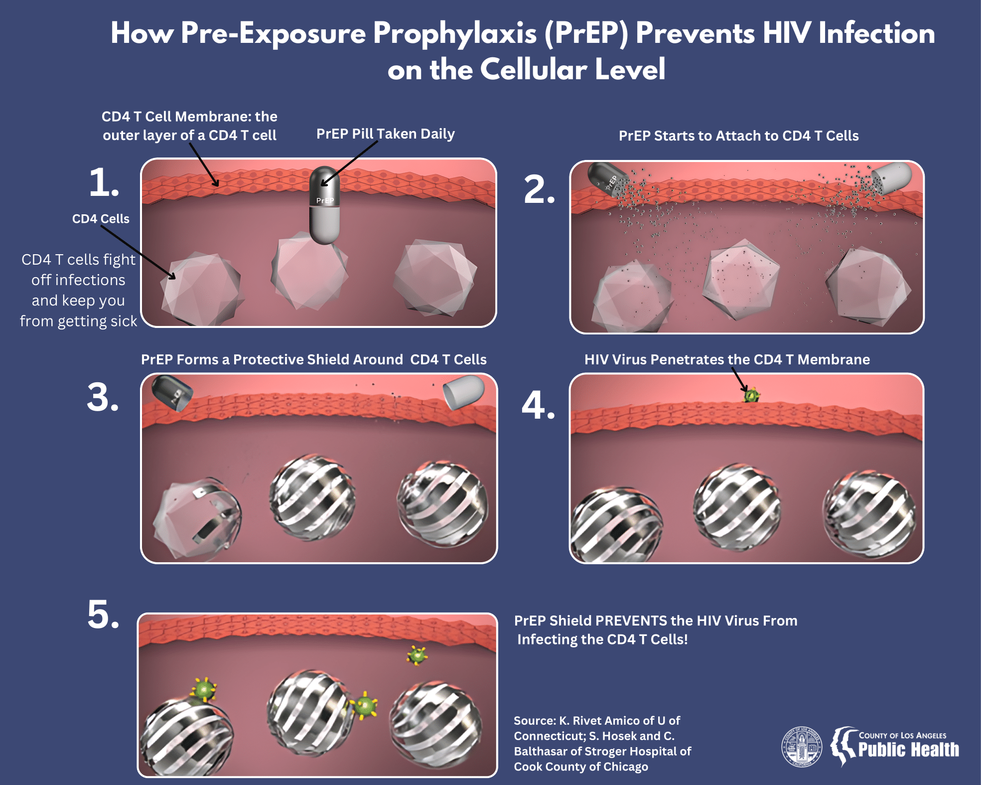 Compare the differences in PrEP and PEP