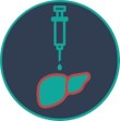 Image of liver