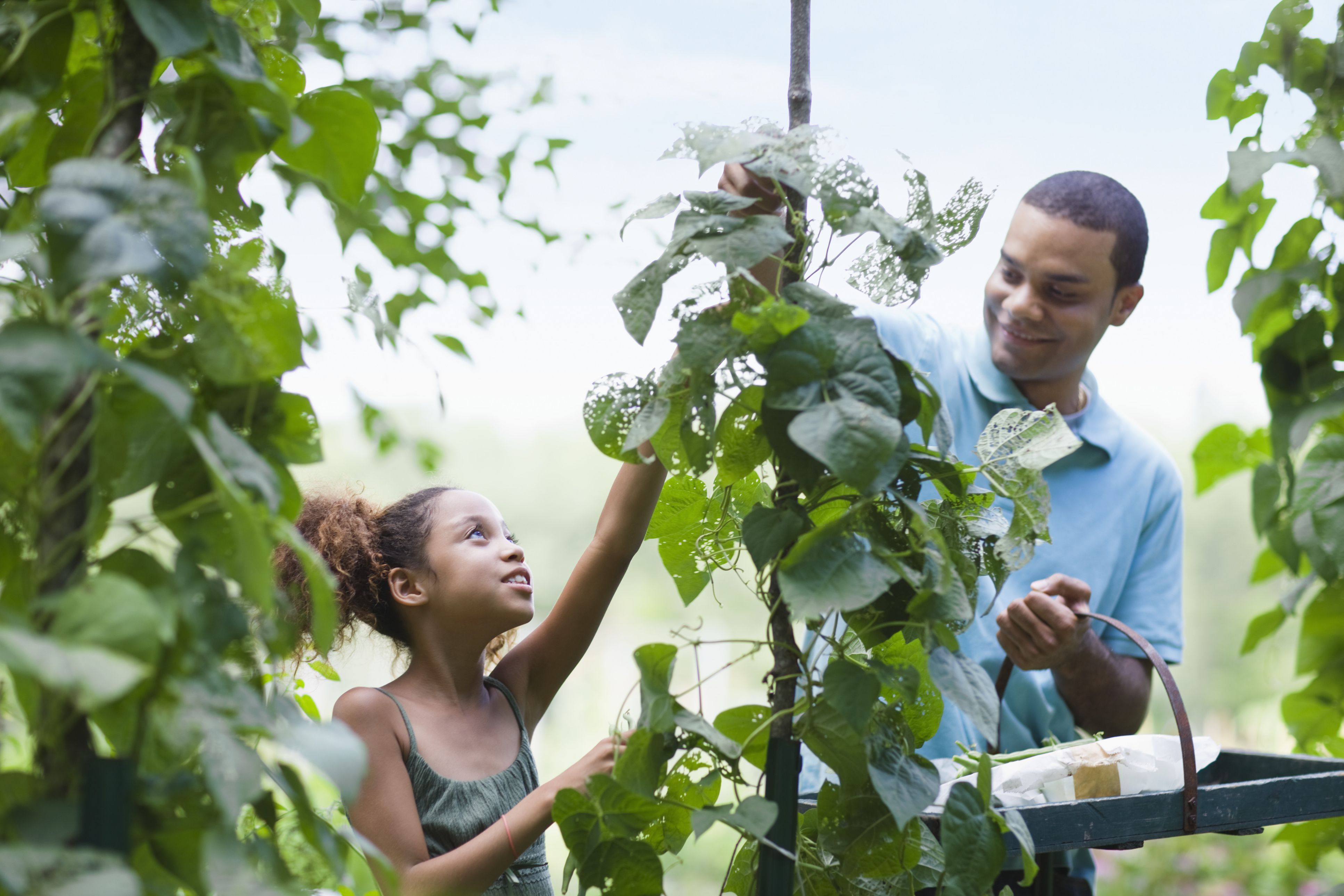 Food Gleaning and Redistribution