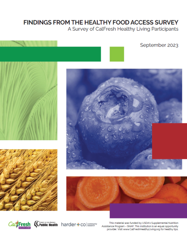 healthy food access survey report cover