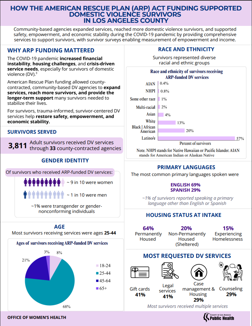 2025 DV Data Report