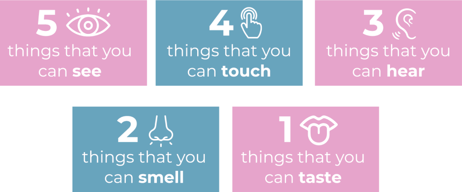 things you can see, touch, hear, smell, taste