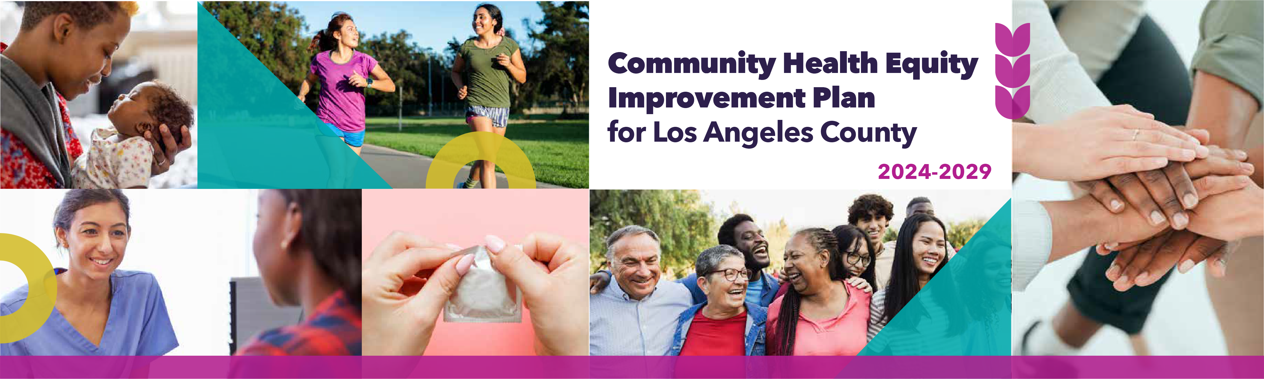 Community Health Equity Improvement Plan