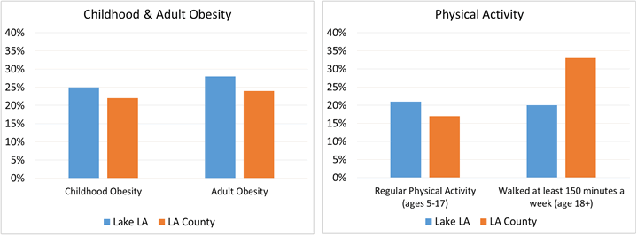 Data table showing childhood obesity and adult obesity are higher in Lake LA compared to LA County overall, Data table showing physical activity for youth ages 5-17 is higher in Lake LA compared to LA County overall, but lower for adults