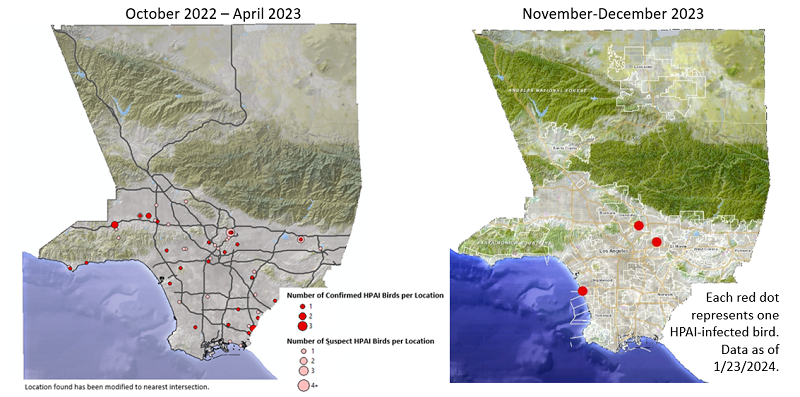 Maps of birds with HPAI H5N1 LA County 2022-2024