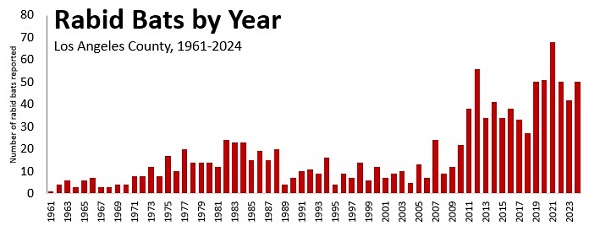 Graph - Los Angeles County rabid bats by year 1961-2023