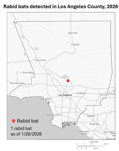 Map showing rabid bat detections in Los Angeles County since January 1, 2025