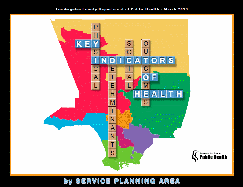 La County Department Of Public Health Report 